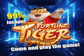 Sports and casino-style entertainment dashboard for Bangladesh users